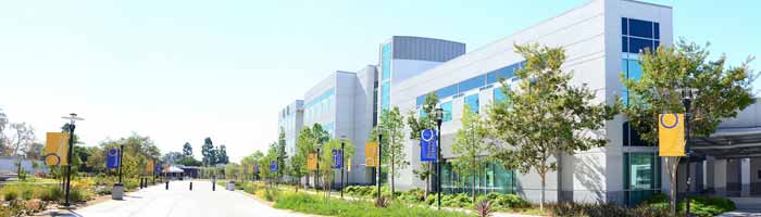 Curriculum Articulation